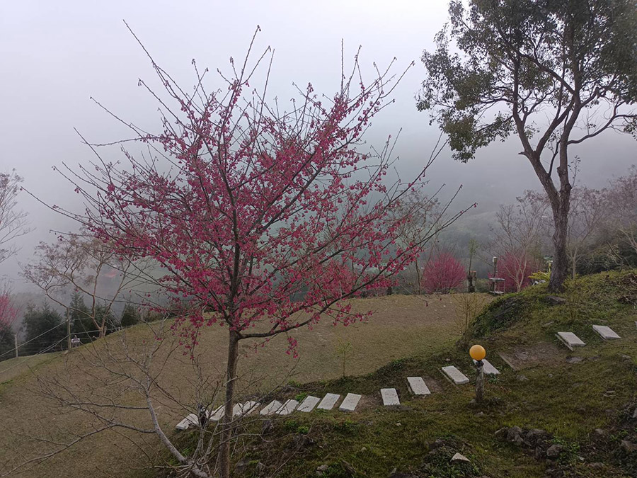 巴斯瓜藍民宿