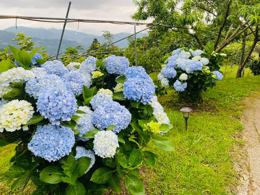 杉嵐營地