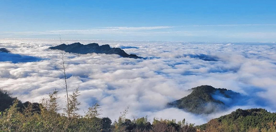 梅山頂景觀露營區