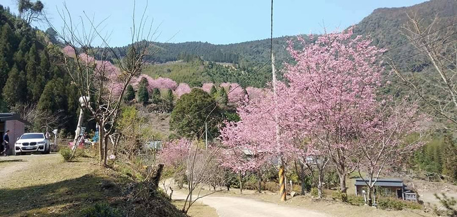 格步霧露營區