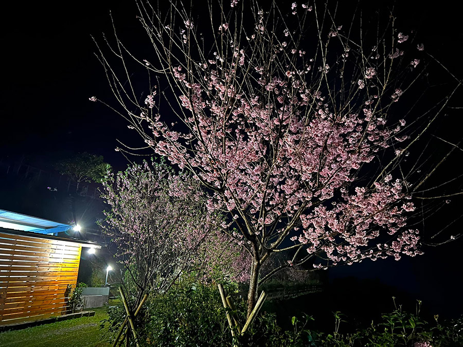 桃喜悠境休閒莊園