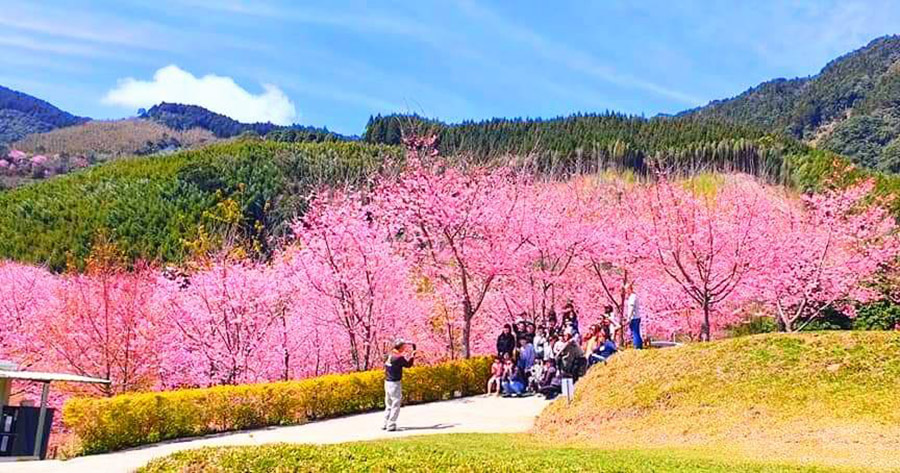 福心園咖啡農場露營區