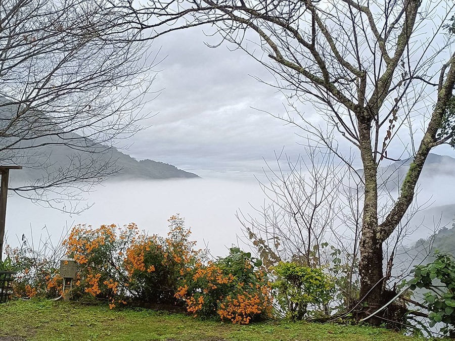 桃山清泉露營區