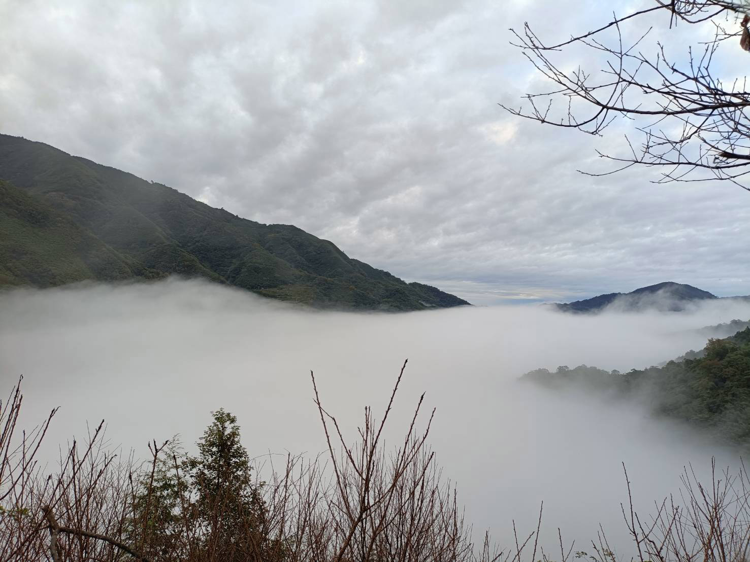 桃山清泉露營區