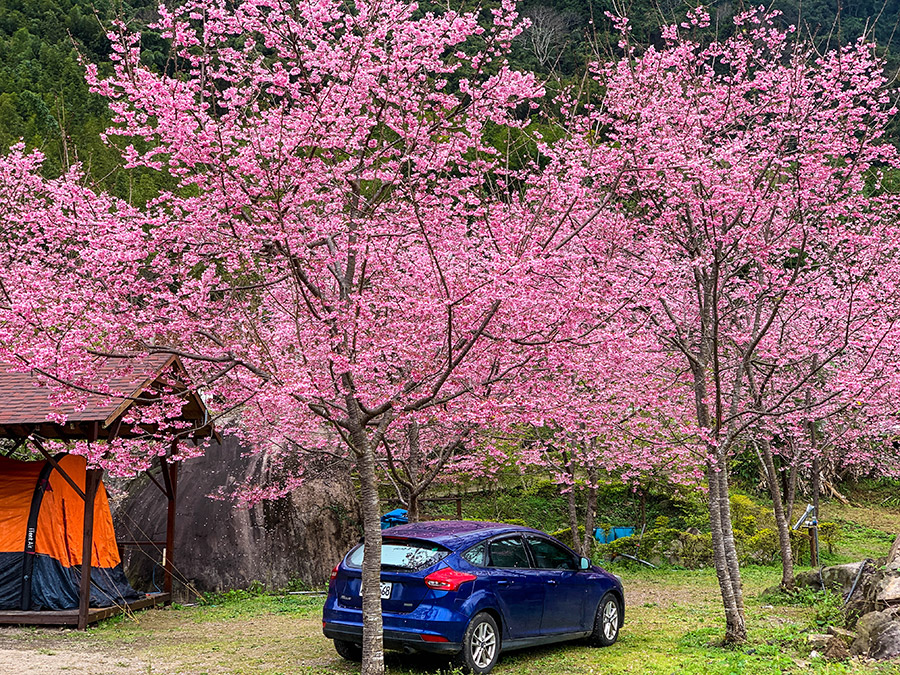 鹿林道營地