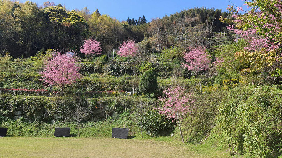 悅光綠境露營區