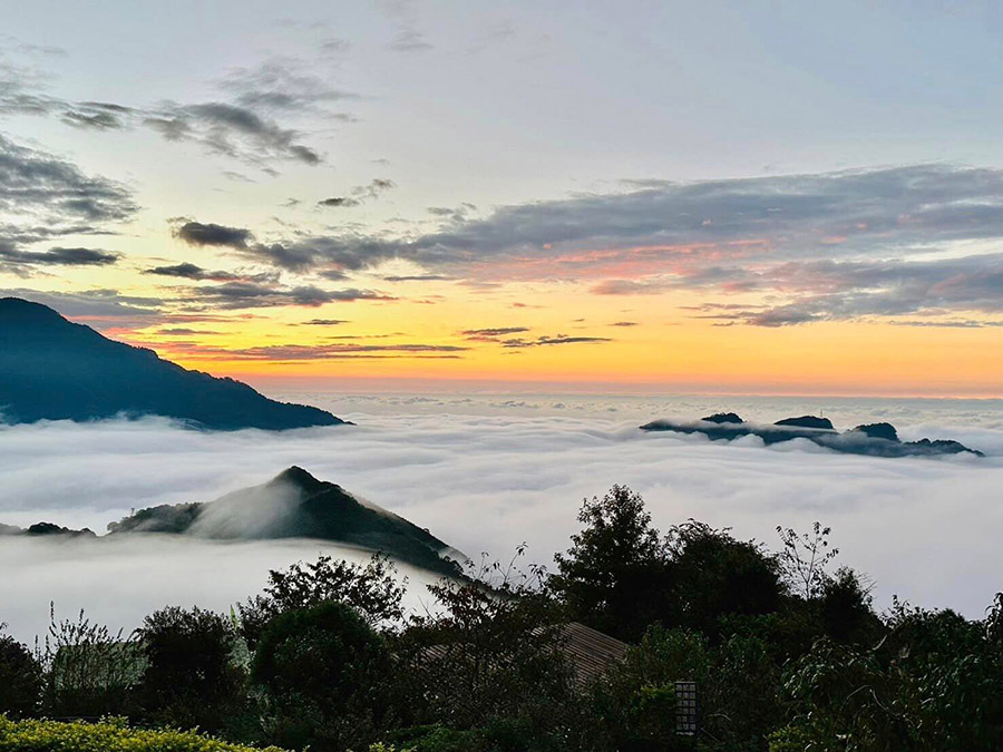 賽夏農場露營區