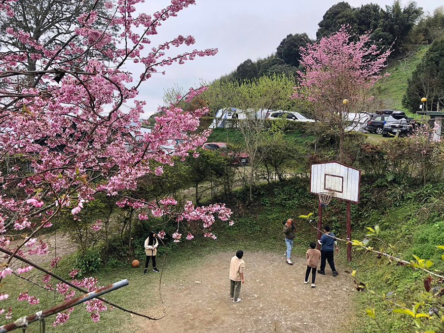 賽夏農場露營區