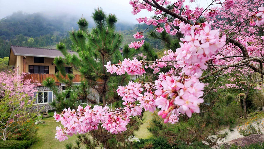 巴奈築夢園