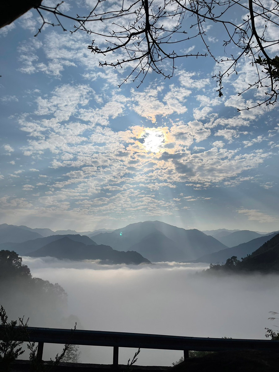 巴奈築夢園