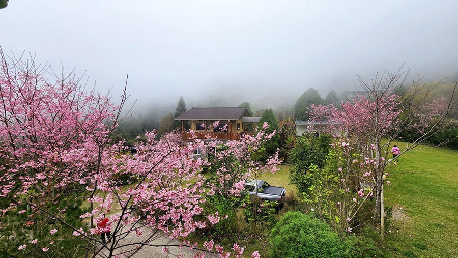 巴奈築夢園
