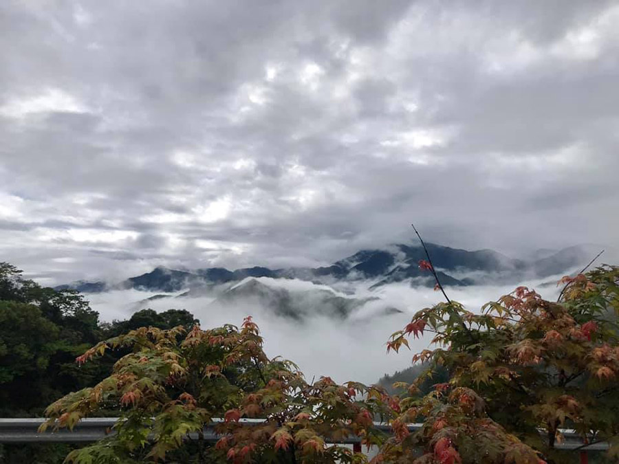 巴奈築夢園
