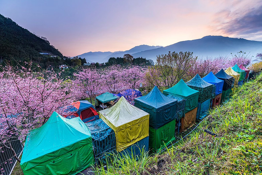 移動城堡露營區