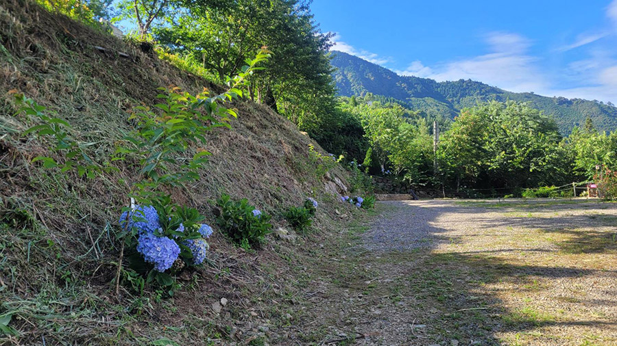 飛仙居露營區