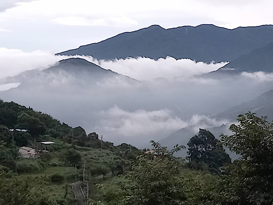 山天涼夜露營區