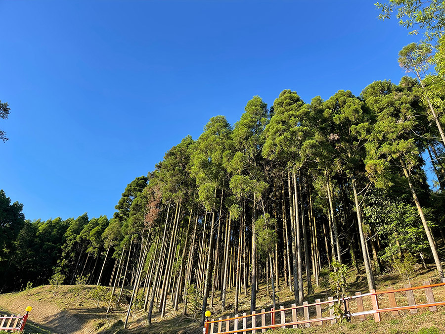 仙境微醺莊園