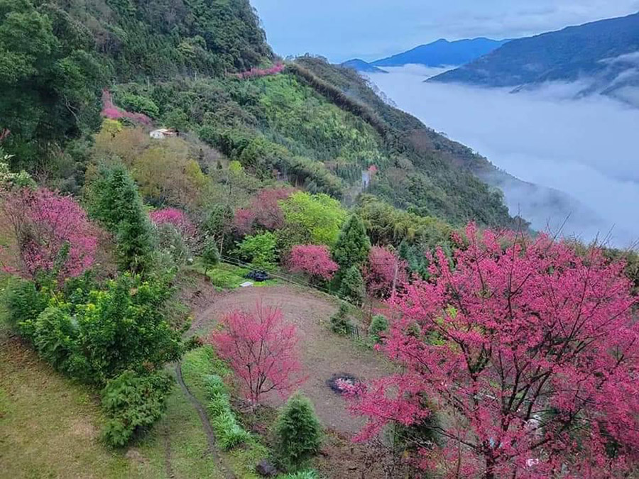 布魯的家休閒農莊