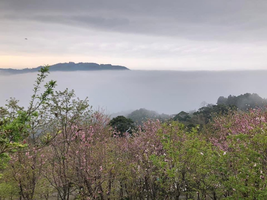 天景露營區