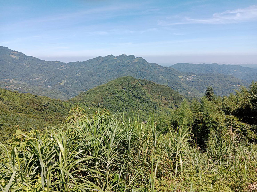 露露米露營區