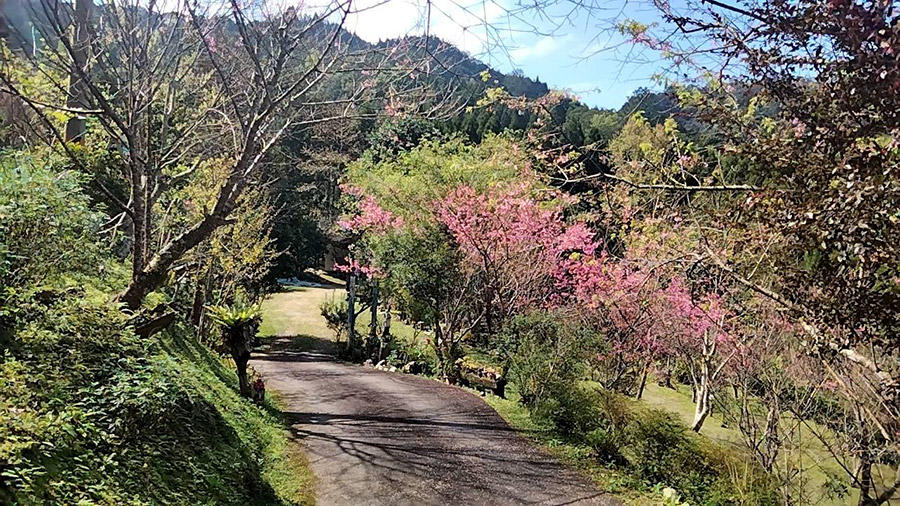 幸福的仙園