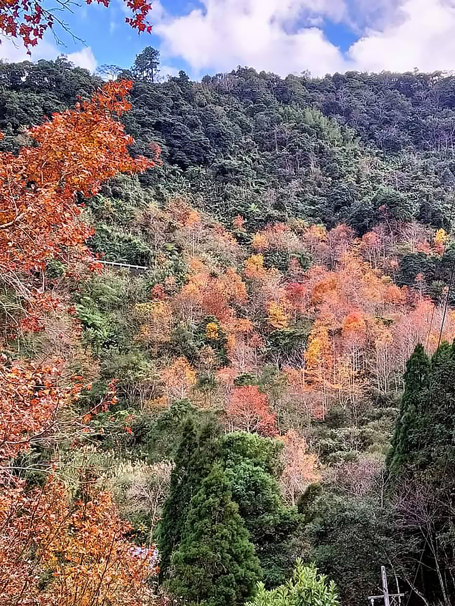 幸福的仙園