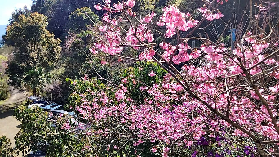 幸福的仙園