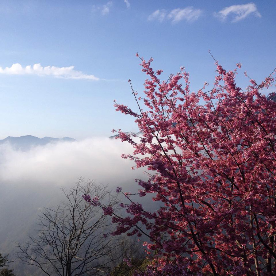 天山農場