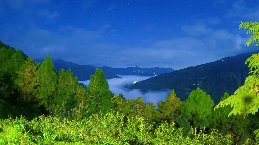 天山農場