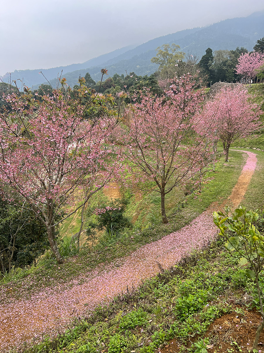 天湖秘境露營區