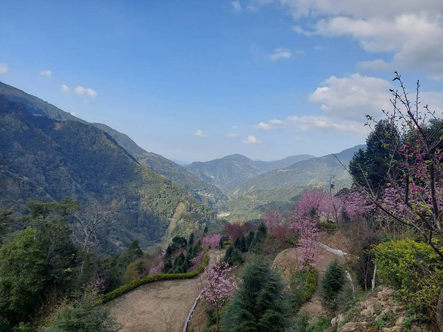 雲山休閒露營區
