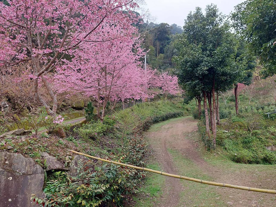 雲山休閒露營區