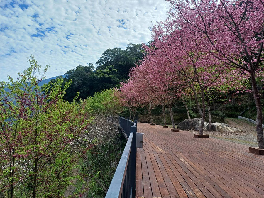 雲山休閒露營區